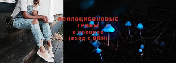трава Майский