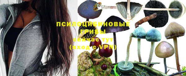 дурь Горнозаводск