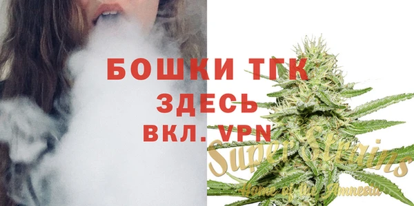 дурь Горнозаводск