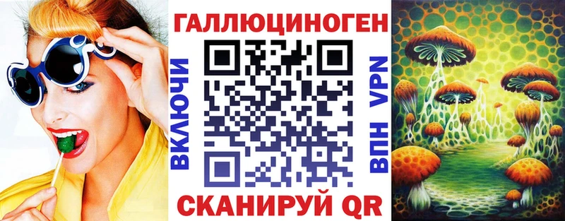 Псилоцибиновые грибы Psilocybe  Моршанск 