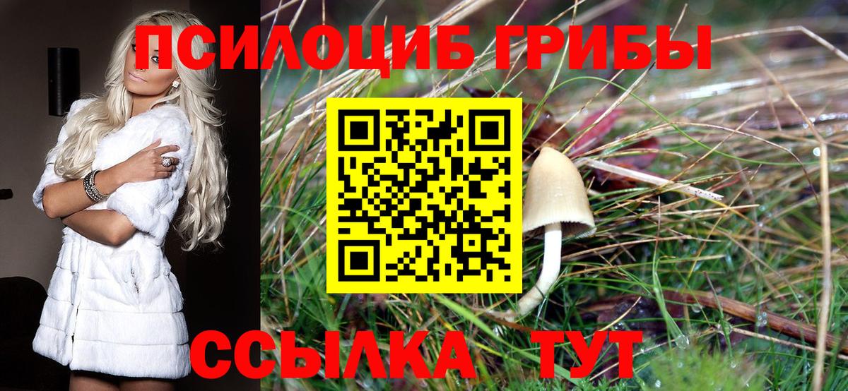 Галлюциногенные грибы мицелий  Псилоцибиновые грибы GOLDEN TEACHER  Моршанск  Вход с VPN 