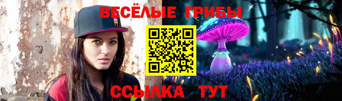ГАШИШ  Alpha-PVP СК   МЕФ   Моршанск  MDMA  Канабис  Метадон  Вход с VPN  КОКАИН 